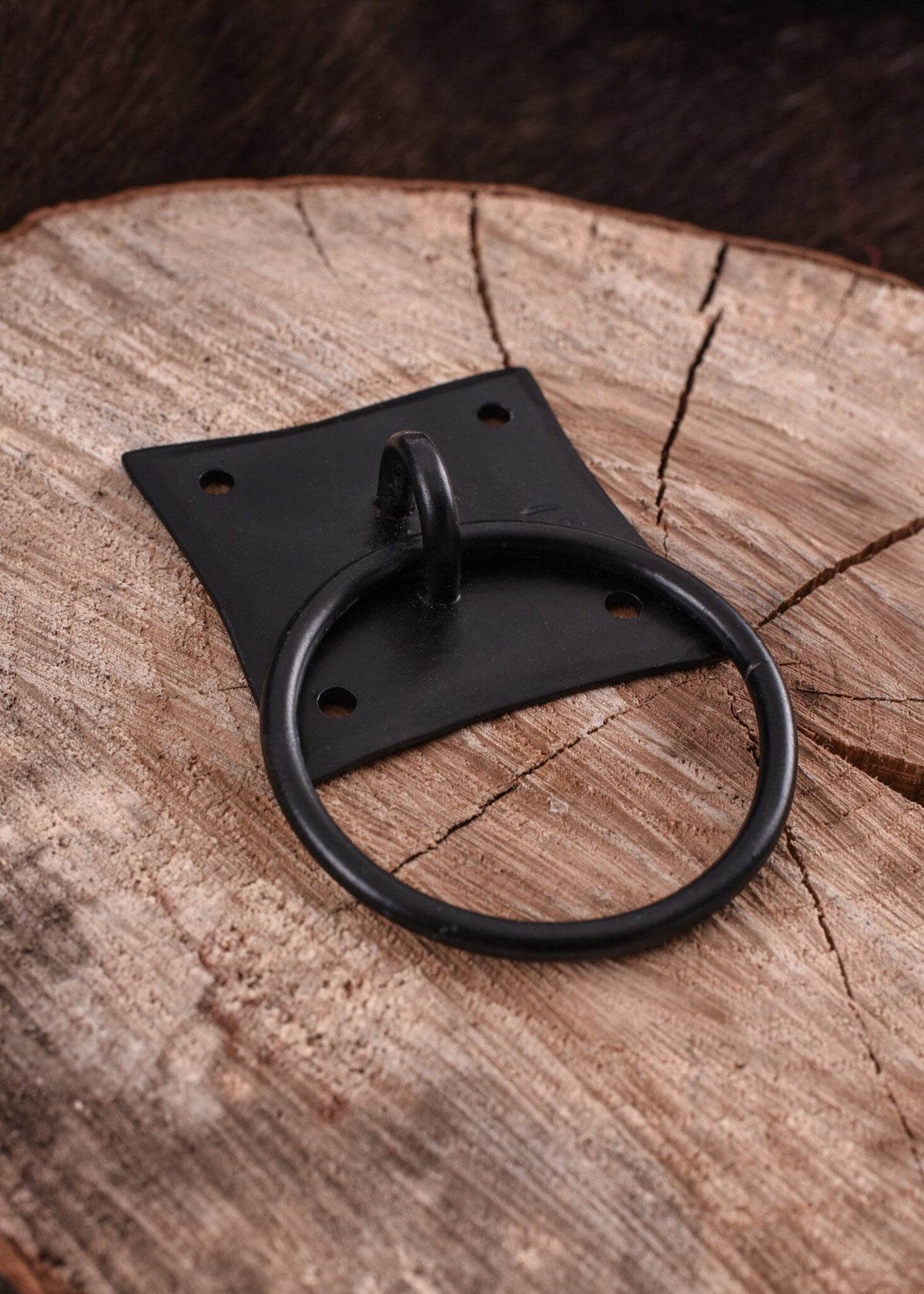 Historiskt handtag med ring