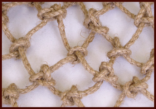 Sieć retiariusa (rete)