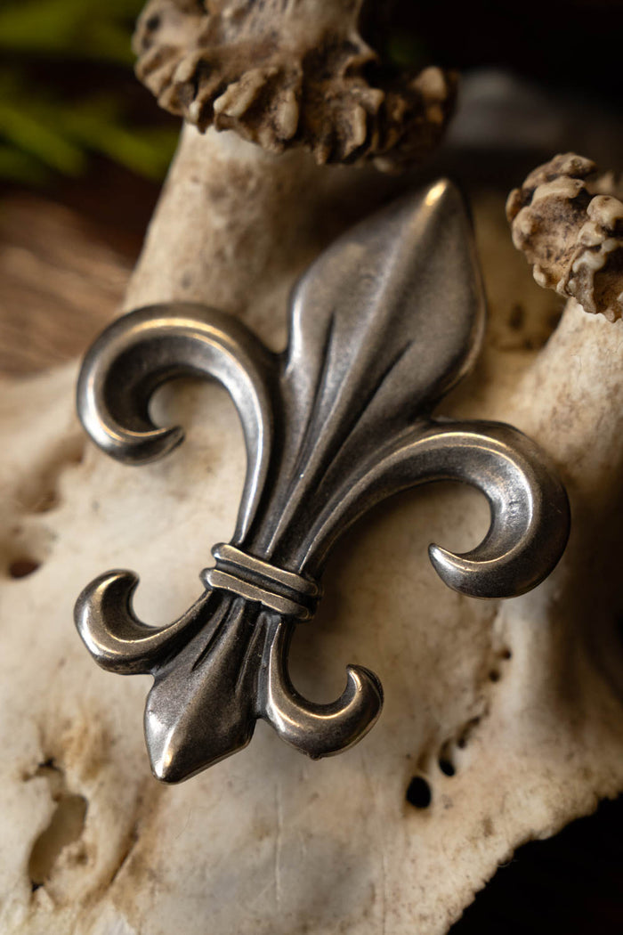 Fleur de Lys Schmuck, versilberte Bronze