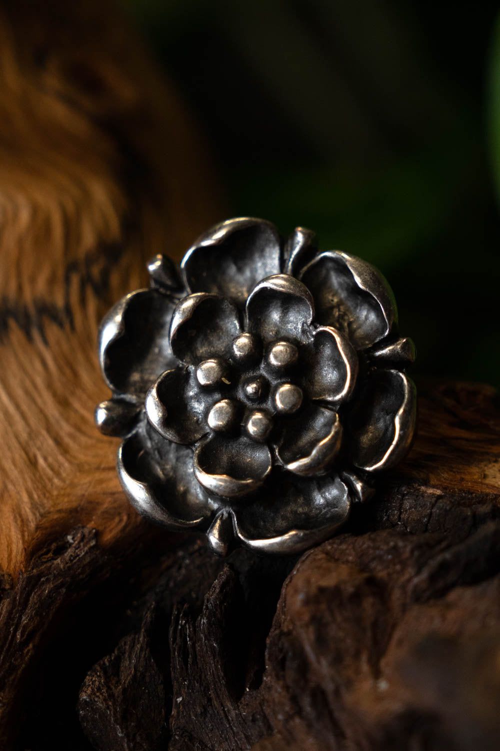 Tudor rose belt fitting (set of 5 pieces), silvered bronze