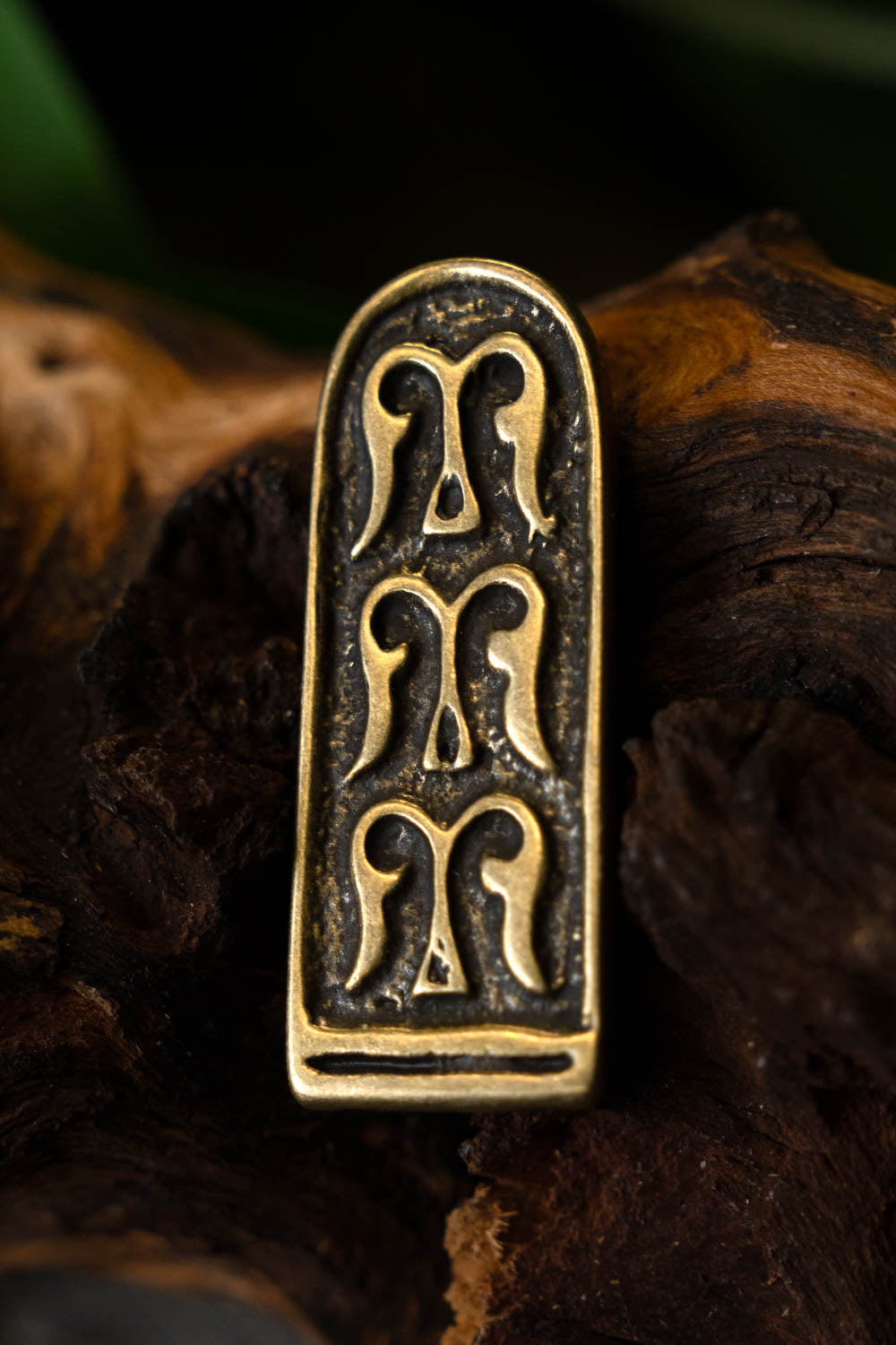 Hongaars (Magyar) riemtong