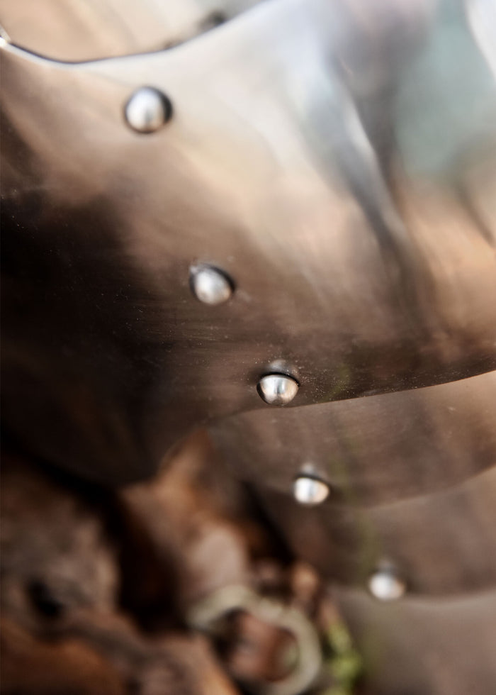 Avant Oberschenkelpanzer Cuisses 1,2 mm