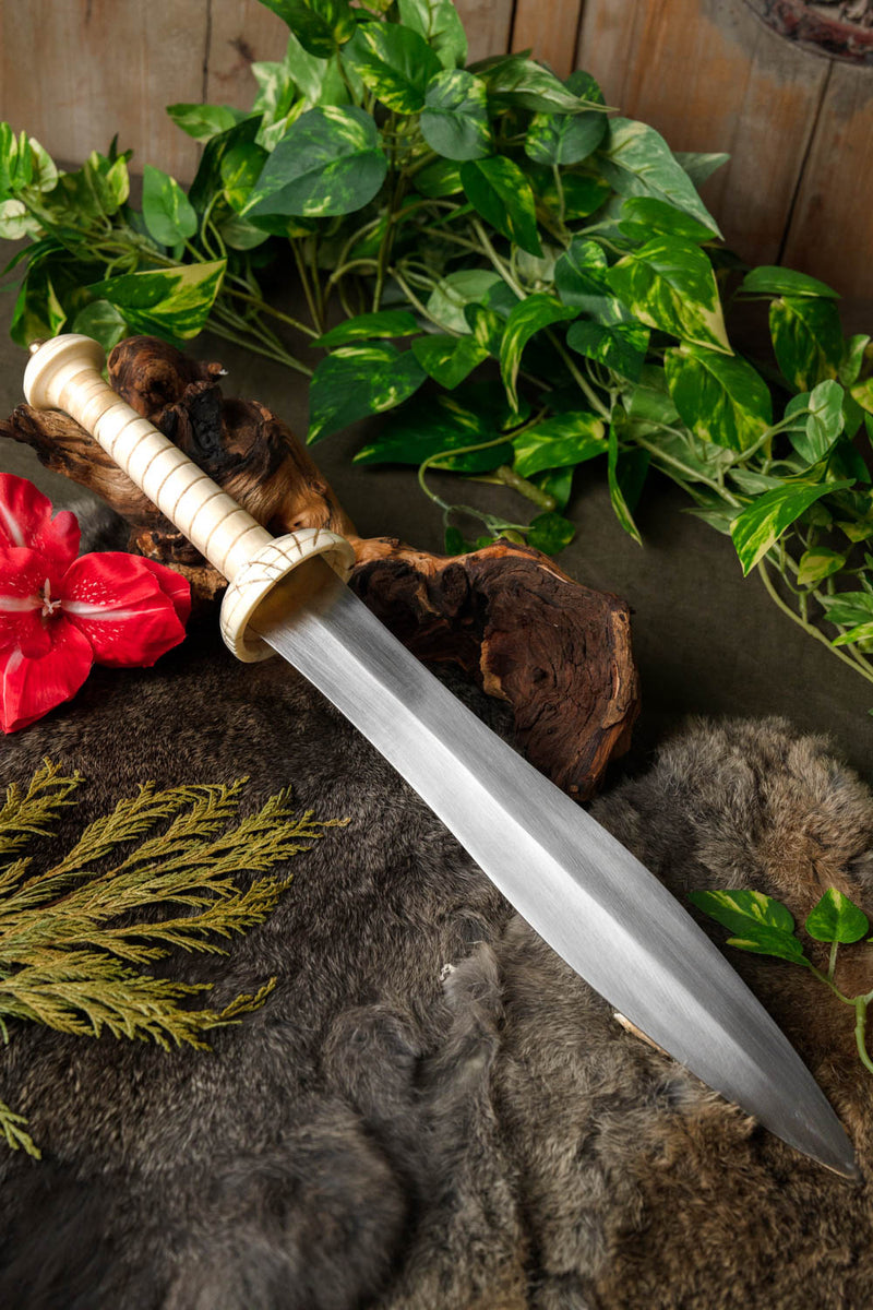 Gladiatorendolch Pompeji, halbscharf