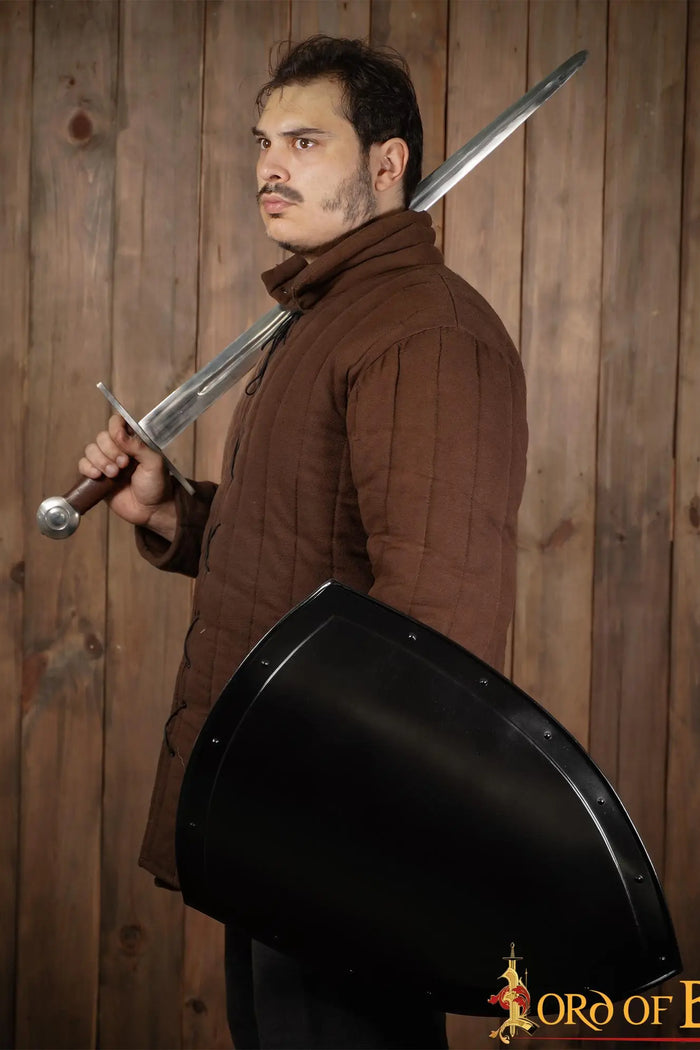 Medieval knight shield, dark