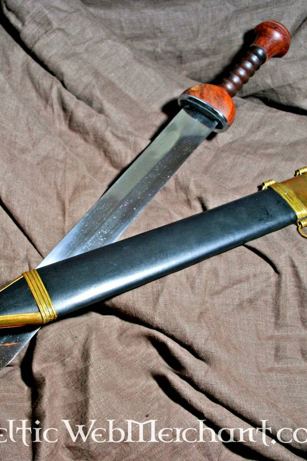 Gladius Ovidius, Pompeii, semi-sharp