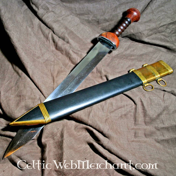 Gladius Ovidius, Pompeii, semi-scherp