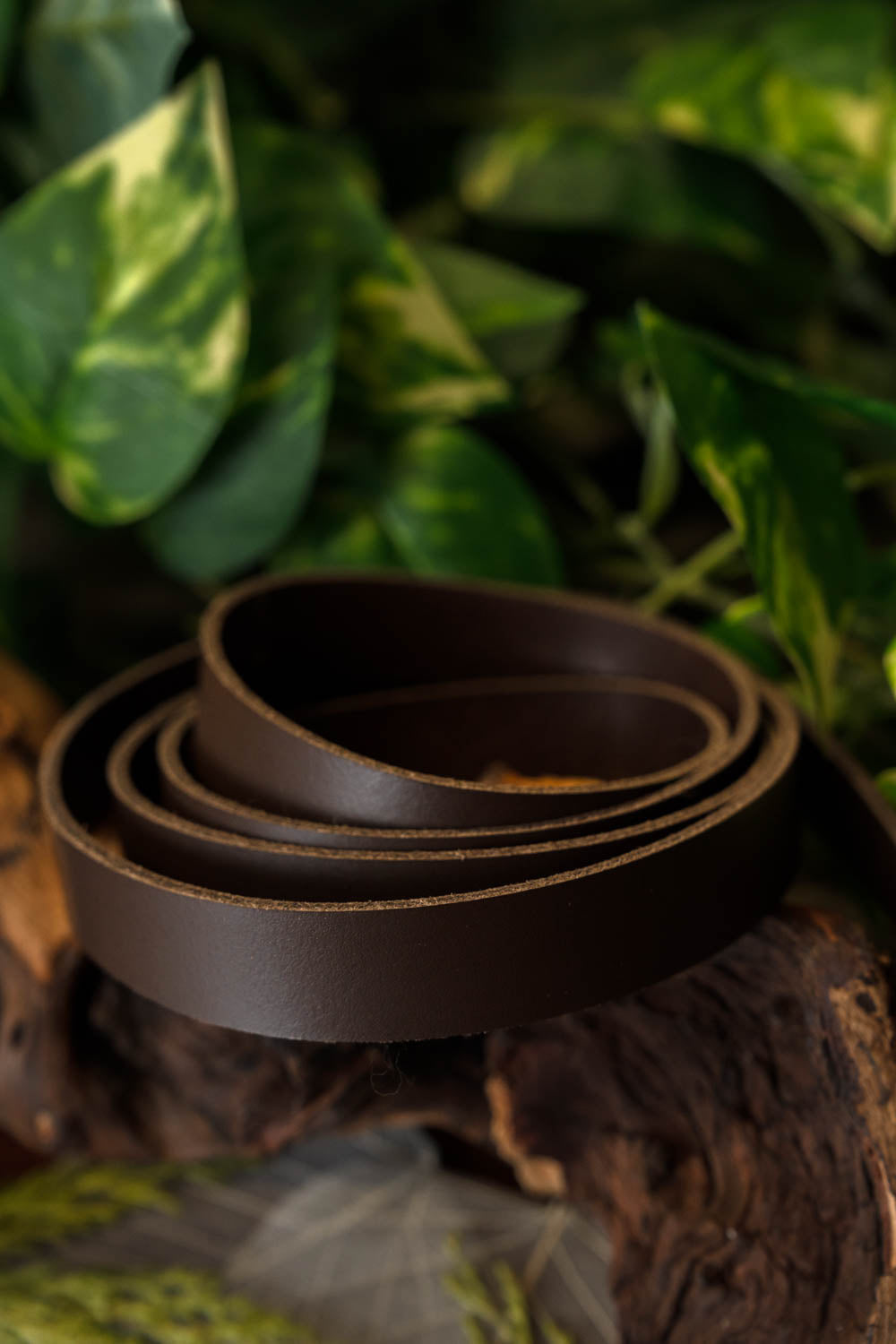 Lanière de ceinture en cuir, 15 mm / 190 cm, marron