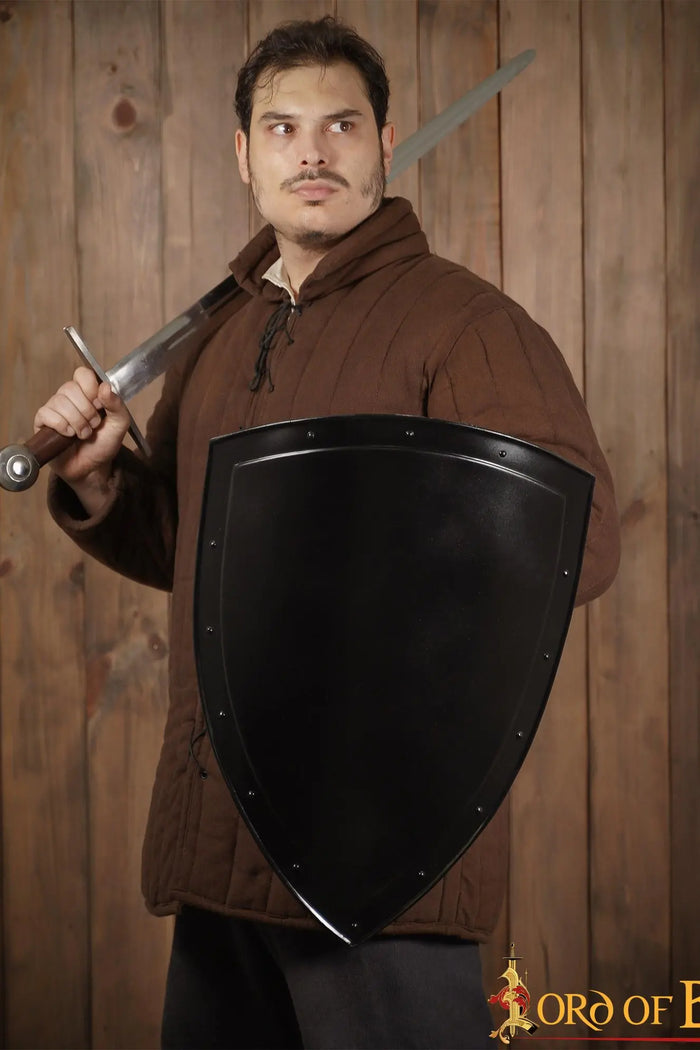 Medieval knight shield, dark