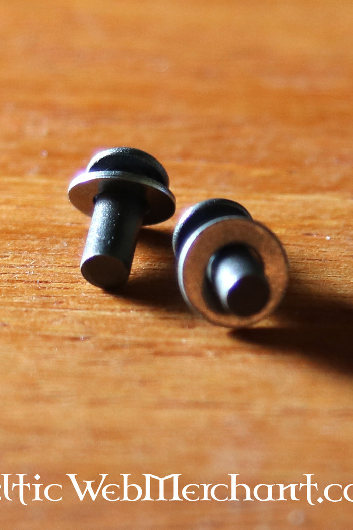 50 stalen klinknagels 3 mm, 6 mm lang