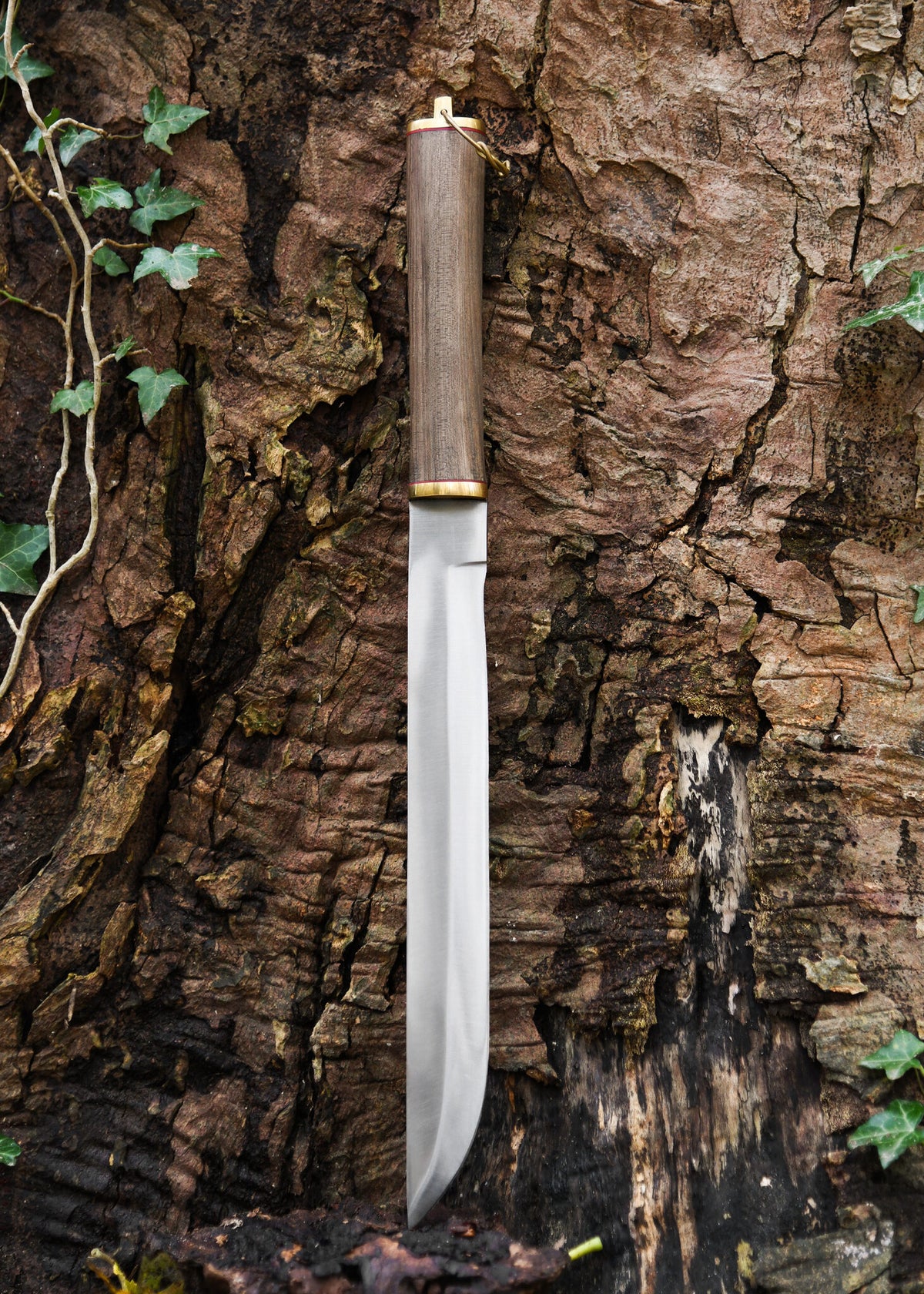 Wikinger Seax Jarl, halb scharf