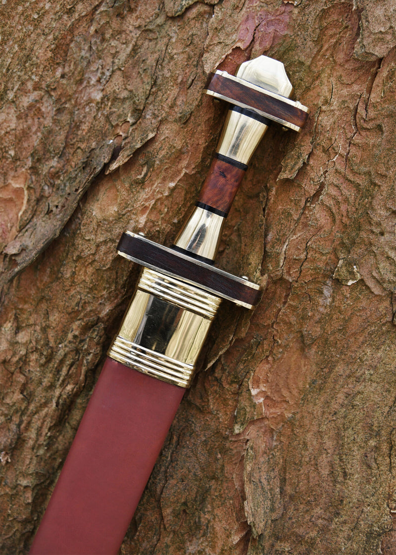 Spatha germanica, non affilata (battle-ready)