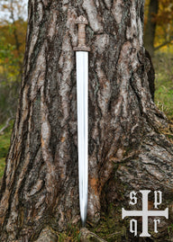 Vendel sword Gotland (Broa), 8th century, semi-sharp