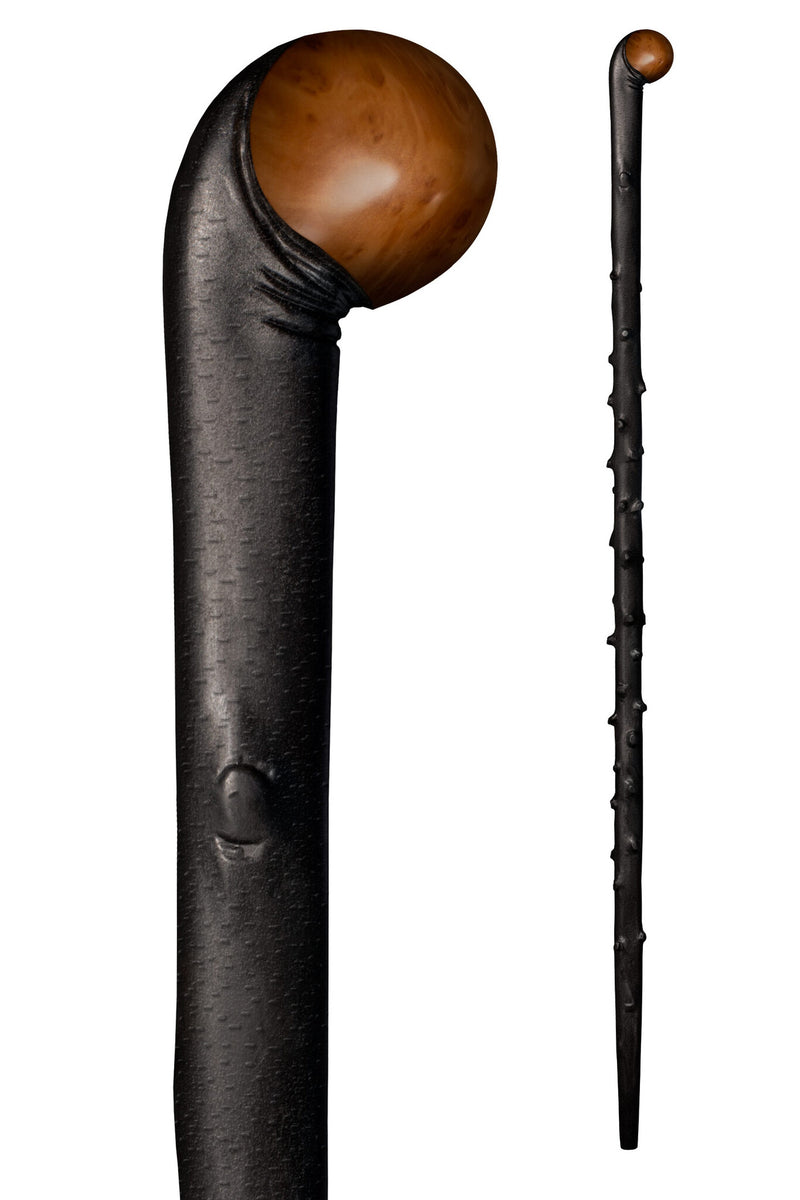 Blackthorn stav för vandring