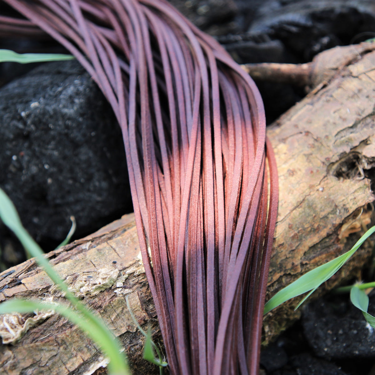 Rzemienie skórzane, zestaw 10 szt., czarne