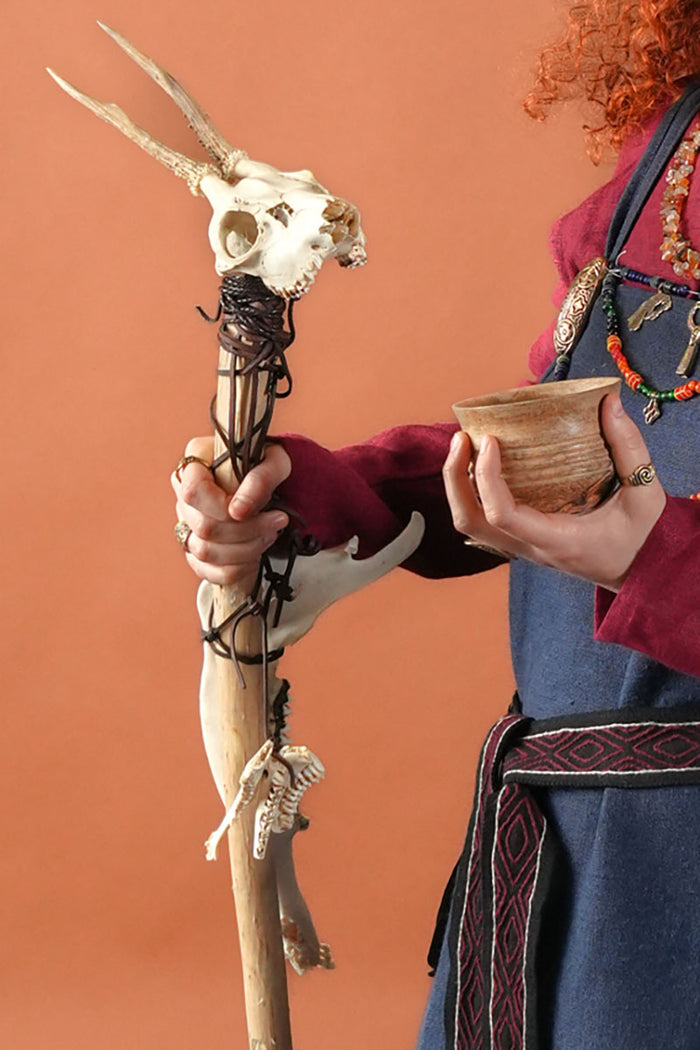 Mandibola inferiore di capriolo, metà