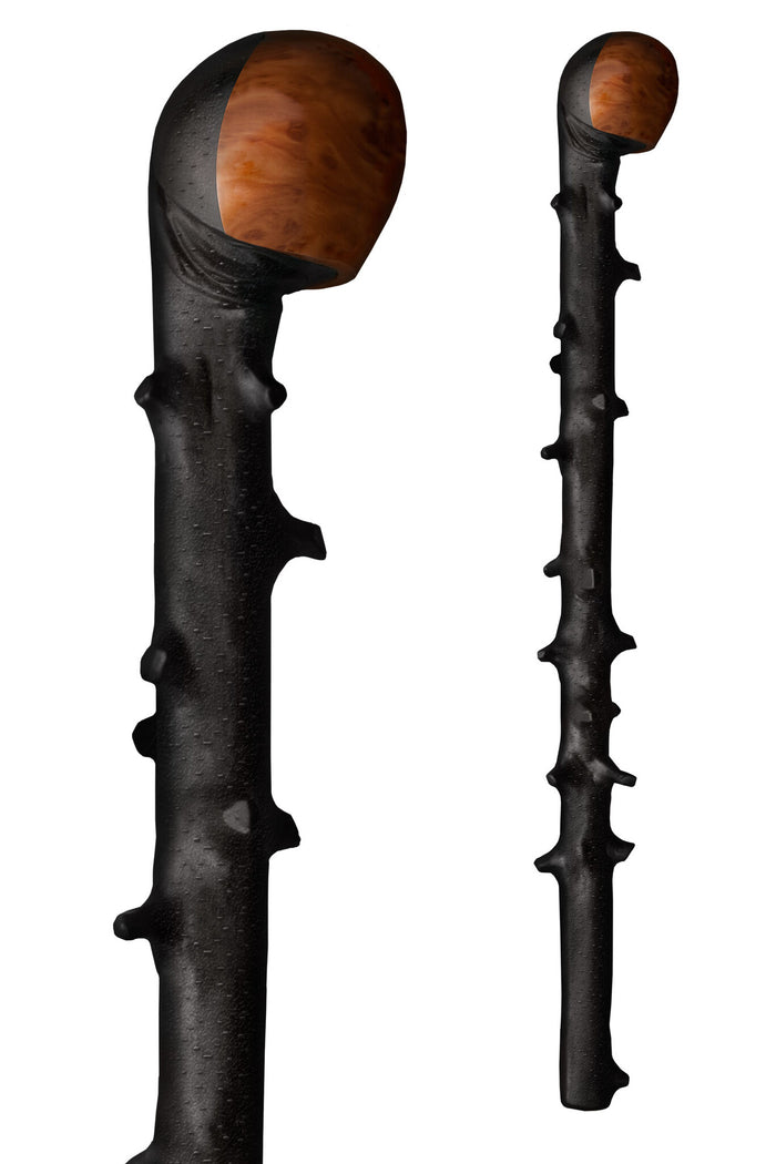 Blackthorn shillelagh, irländsk promenadkäpp, 69 cm