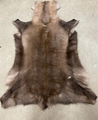Reindeer skin, dark, 130-140 cm