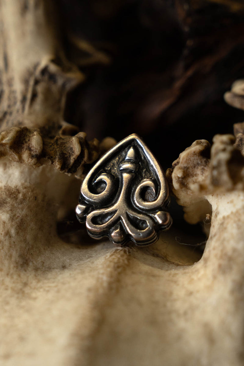 Vikingebæltebeslag Chernikvov, zamak