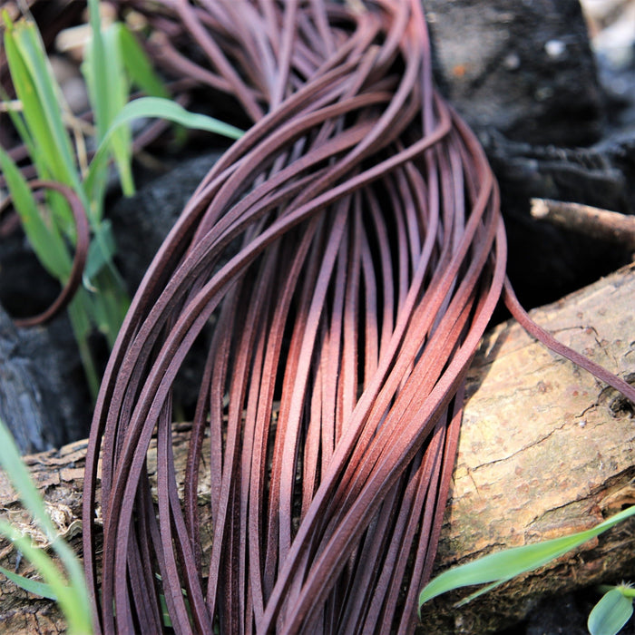 Skórzany rzemień, zestaw 50 szt., brązowy