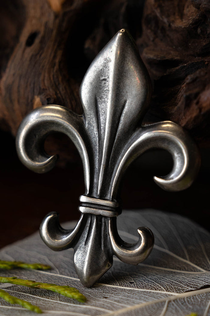 Fleur de Lys Schmuck, versilberte Bronze