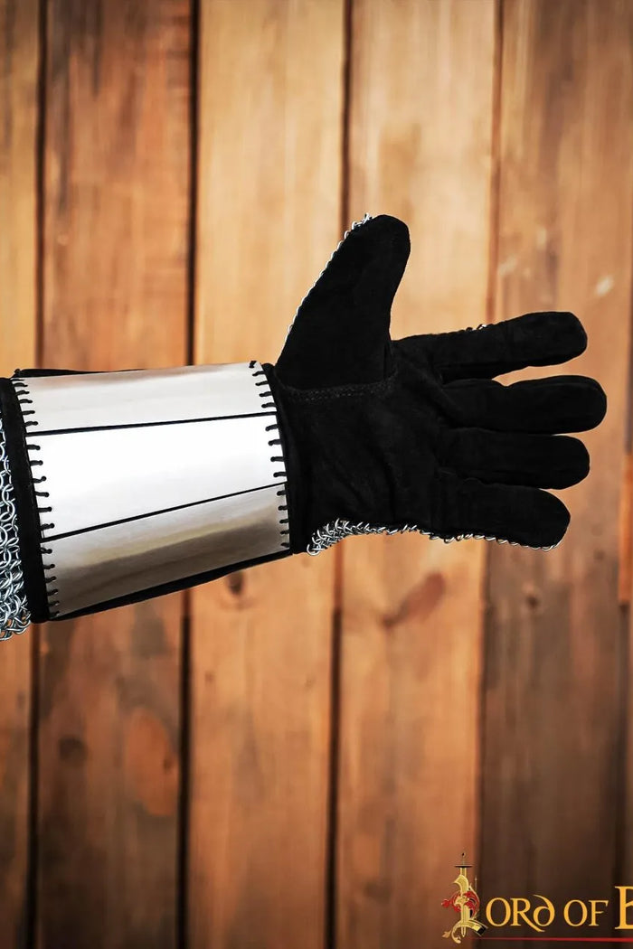 Chain mail gloves with steel plates, butted, 6 mm