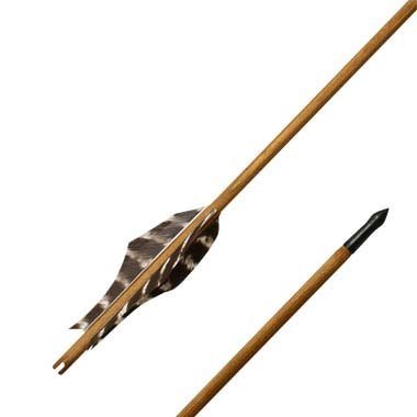 Flecha germánica