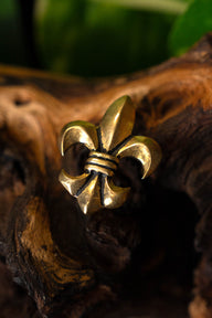 Fleur-de-lys riembeslag (set van 5 stuks), brons