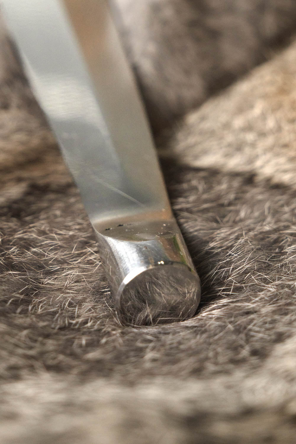 Punta di lancia Cederic grande, non affilata (battle-ready)