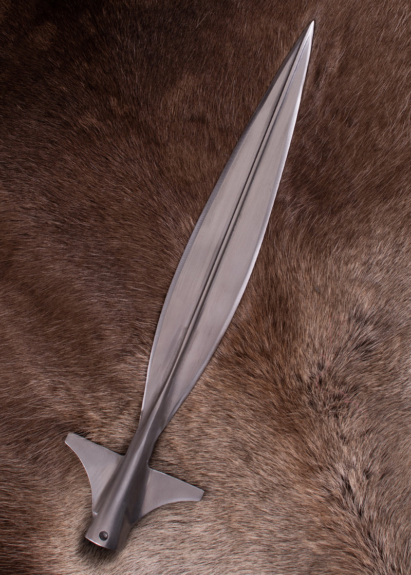 Punta di lancia alata a foglia, ca. 43,5 cm, semi-affilata