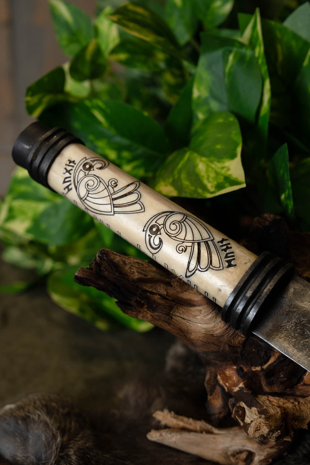 Wikingersax Hugin und Munin, halb scharf