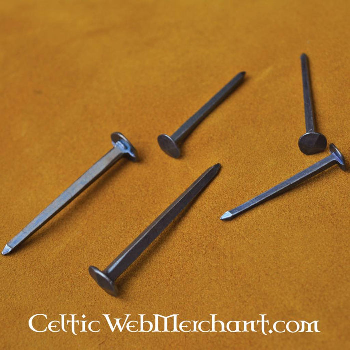 Nagel 6 cm (50 stuks)