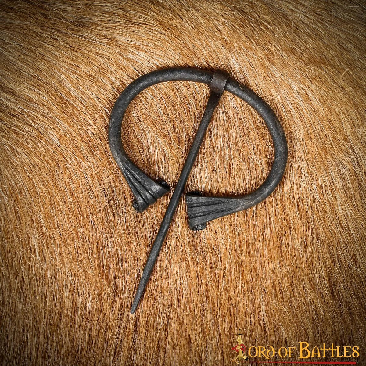 Noord-Europese hoefijzer fibula, ijzer