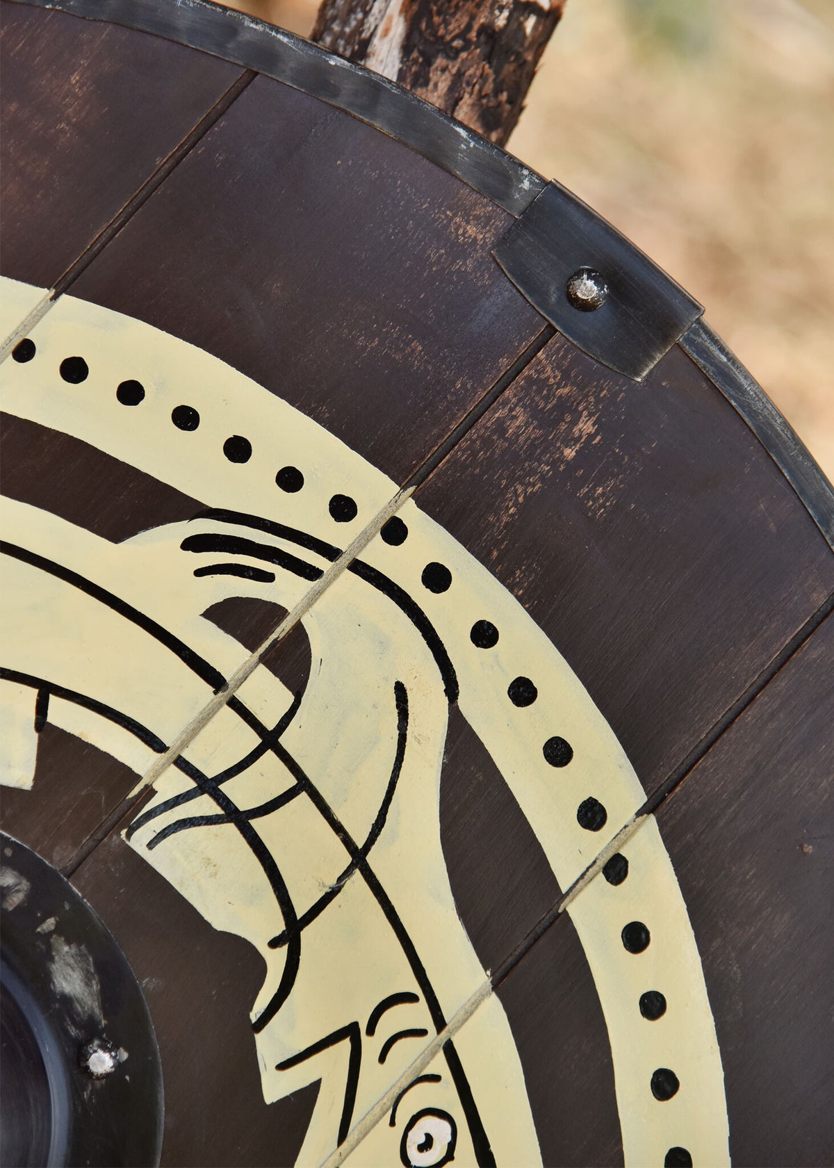 Viking shield with Midgard snake