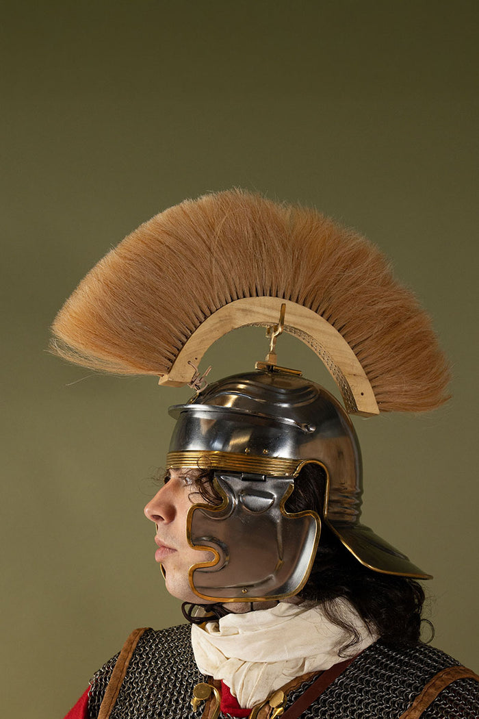 Romersk hjelmkam, hvid