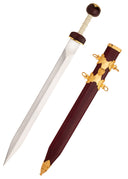 Gladius Spiculus, pusiau aštrus