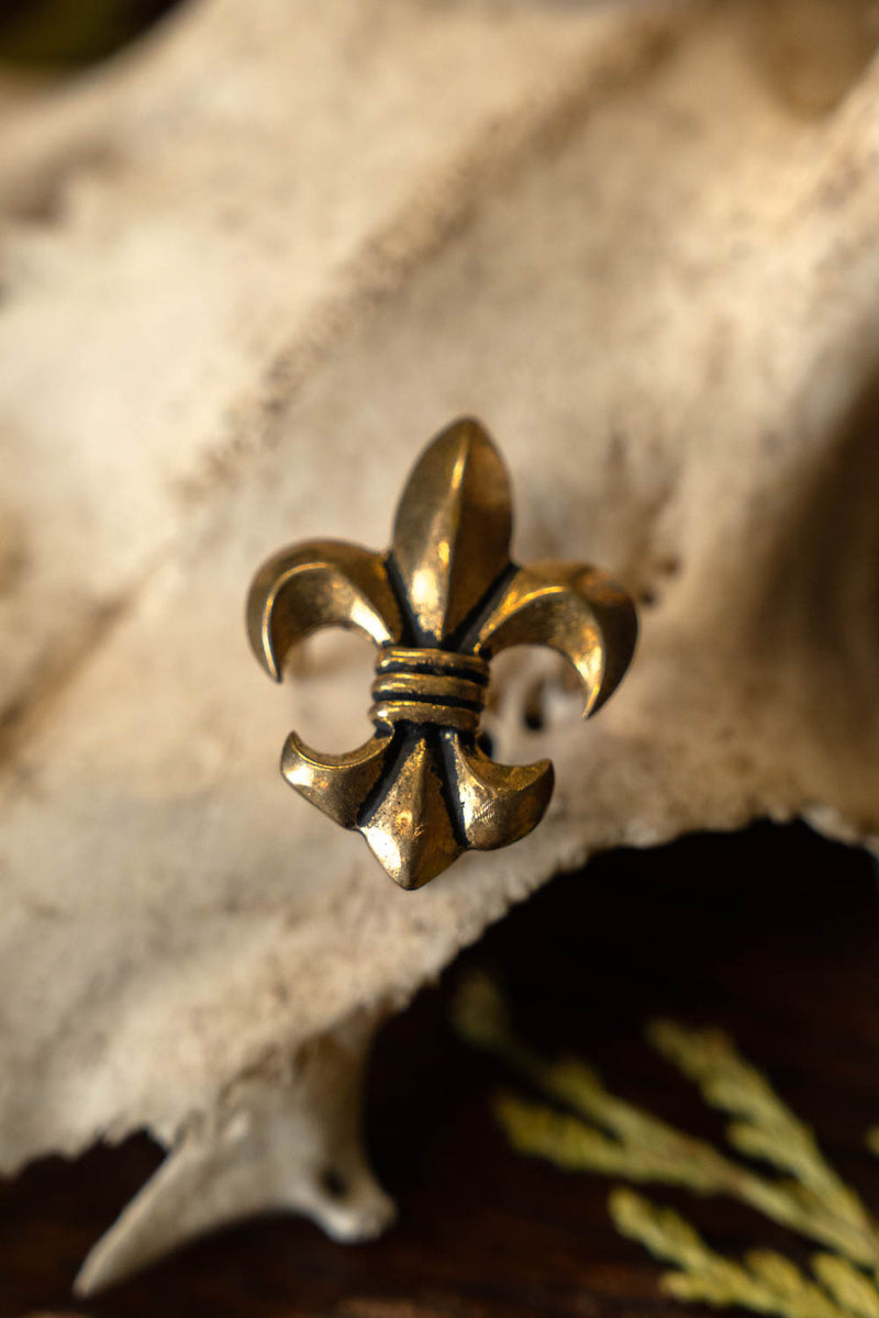 Fleur de lys bältesbeslag, set med 5 stycken, brons