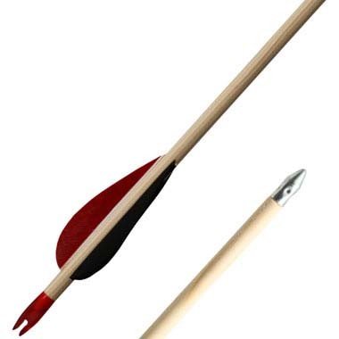 30" arrow (76 cm), set of 10
