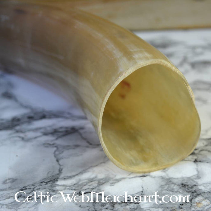 Wikiński róg sygnałowy